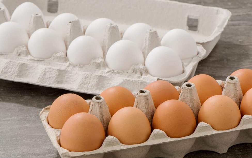 اعلام نرخ جدید تخم‌مرغ بسته‌بندی
