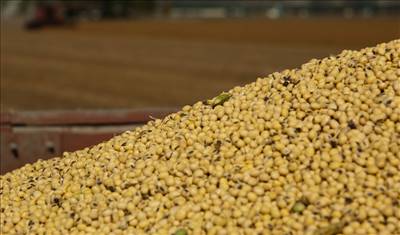 نرخ نهایی نهاده دام و طیور اعلام شد